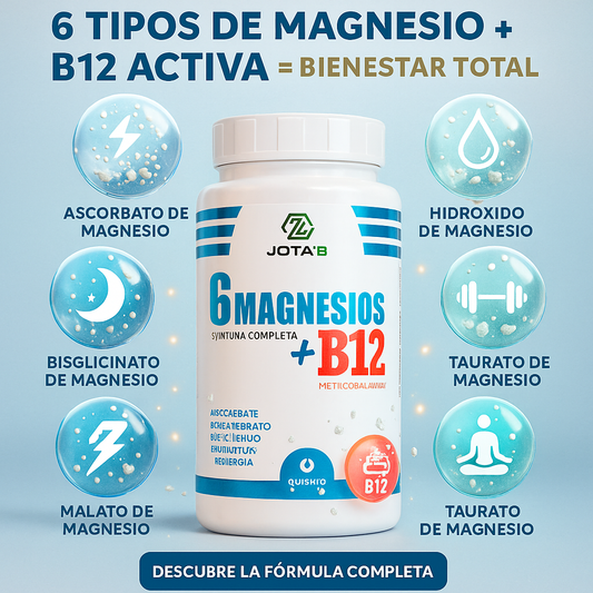 6 Magnesios + B12